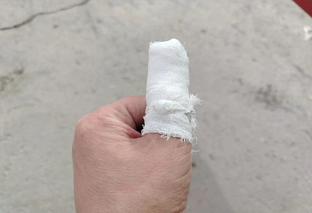 При задержании повёл себя как собака